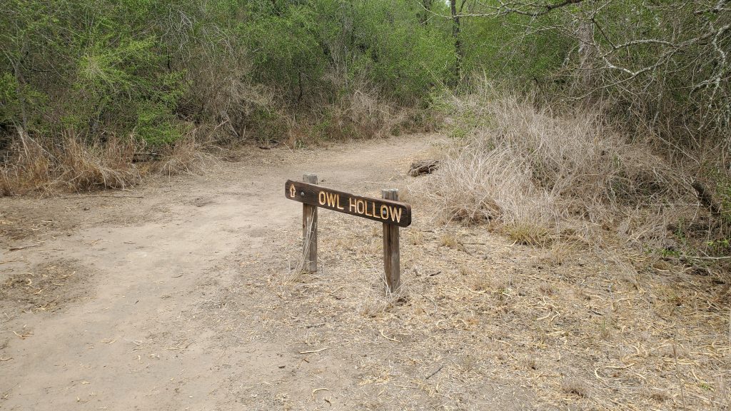 Trail at Choke Canyon State Park